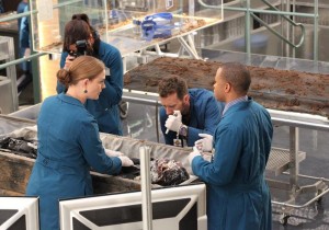 BONES:  Brennan (Emily Deschanel, second from L) and the Jeffersonian team (L-R:  Michaela Conlin, TJ Thyne and guest star Eugene Byrd) work to find evidence that will get Booth released from jail in the "The Conspiracy in the Corpse" season premiere episode of BONES airing Thursday, Sept. 25 (8:00-9:00 PM ET/PT) on FOX.  ©2014 Fox Broadcasting Co.  Cr:  Adam Taylor/FOX
