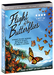 Butterflies 4K