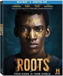 Roots_3D_BD_O-CARD