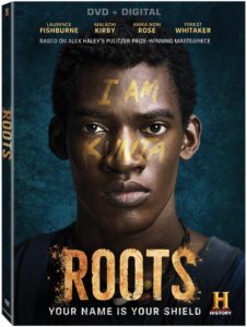 Roots_3D_DVD_O-CARD