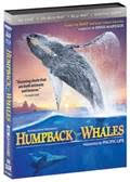 Humpback 3D 4K