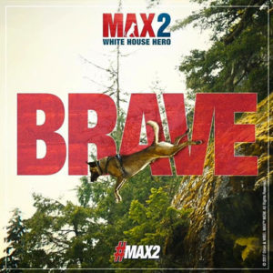 Max2_Brave