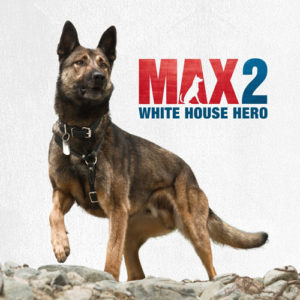 Max2_rock