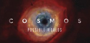 cosmos