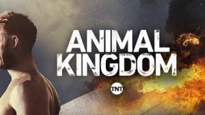 Animal Kingdom Logo